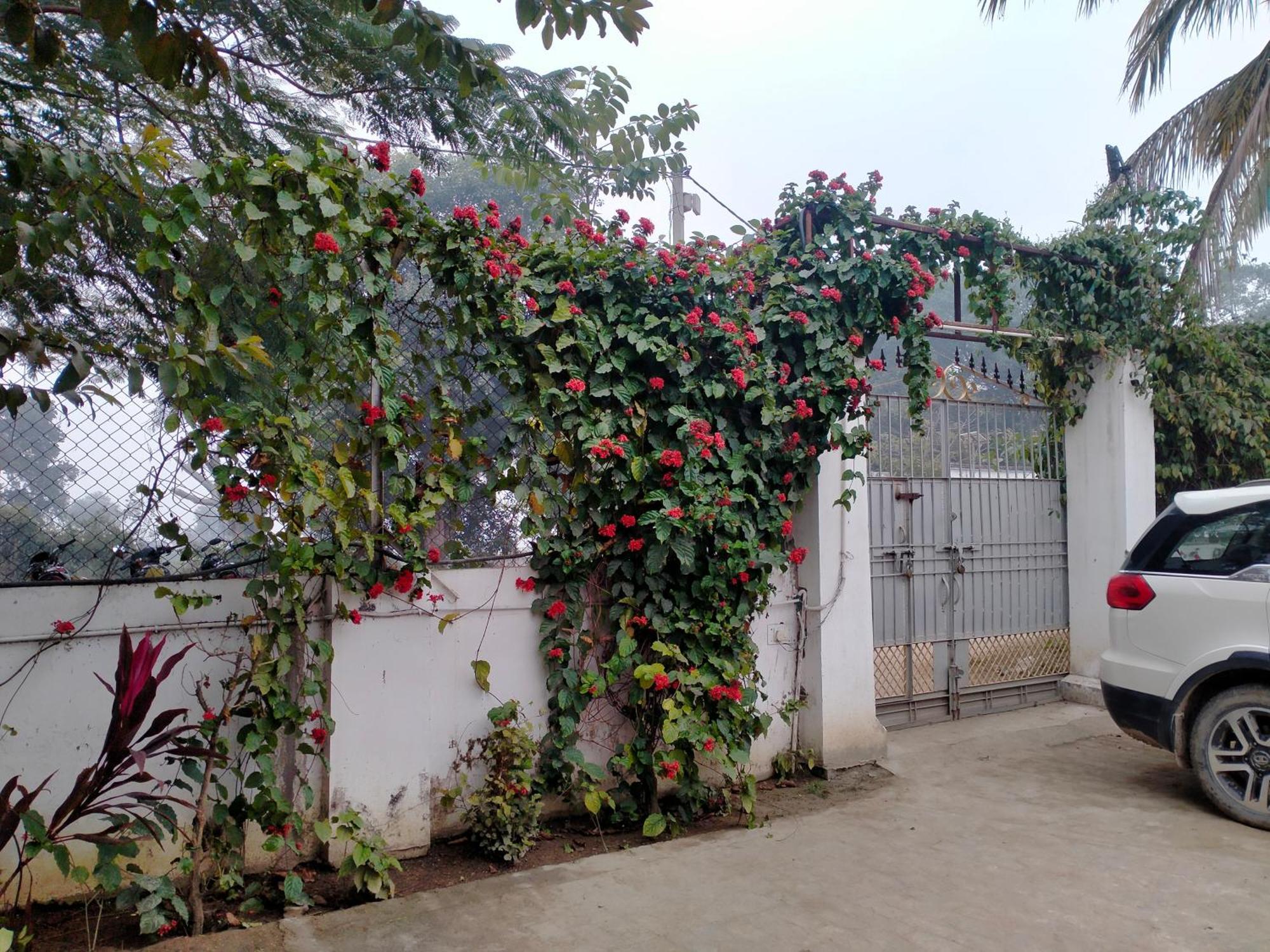 Vedic Villa Βαρανάσι Εξωτερικό φωτογραφία